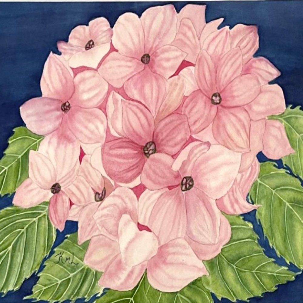 PAINTING WATERCOLOR ORIGINAL ART HYDRANGEA FLOWERS PINK LEAVES 1X14 MAT 16X20